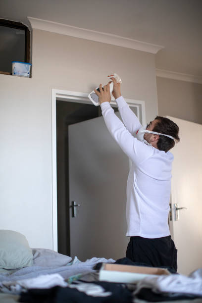 Best Mold Removal for HVAC Installations  in Cleveland, MS