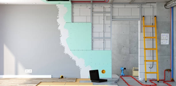 Best Attic Mold Removal  in Cleveland, MS