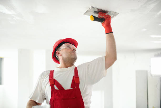 Best Post-Construction Mold Inspection  in Cleveland, MS